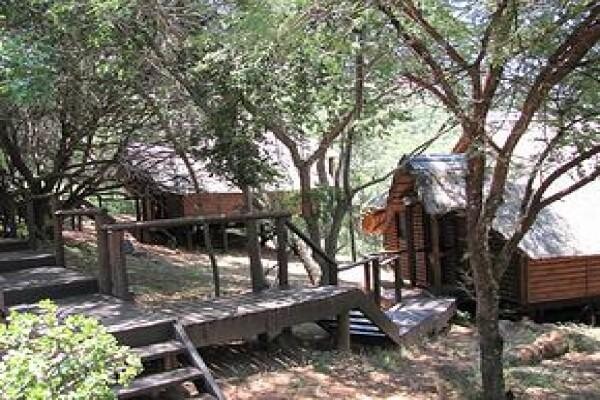 Leopard Lodge