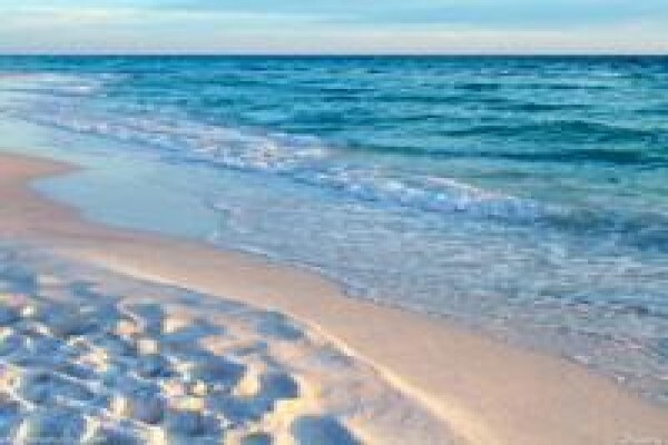 Dolphin Holiday Resort