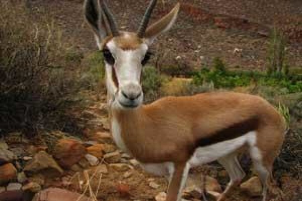 Cederberg Camping & Hiking