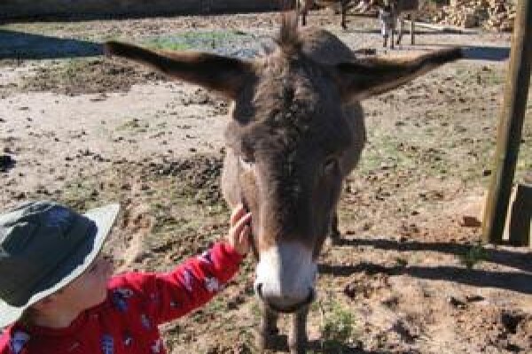 Cederberg Camping & Hiking