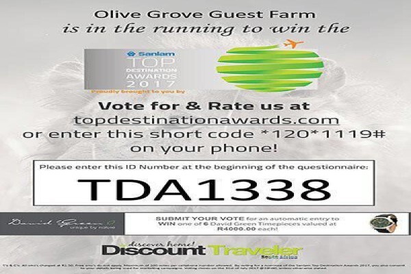 Olive Grove Guest Farm