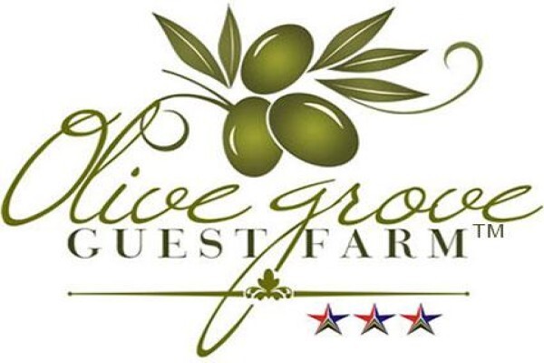 Olive Grove Guest Farm