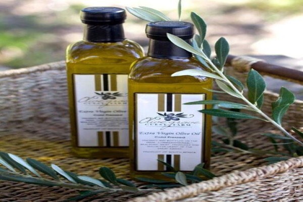 Olive Grove Guest Farm