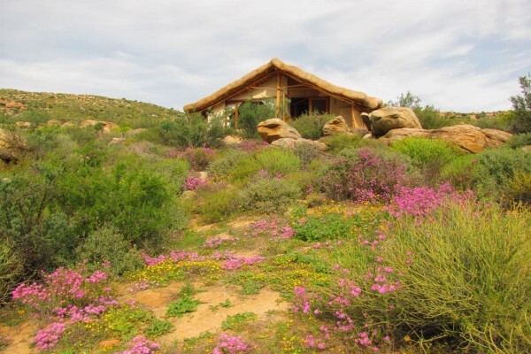 Oudrif Resort