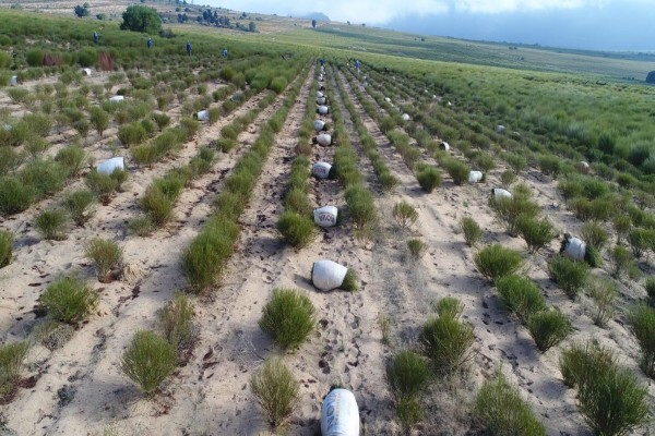 Ysterfontein Guest Farm