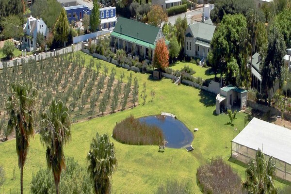 Montagu Vines Guesthouse
