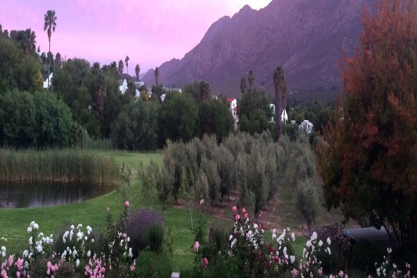 Montagu Vines Guesthouse