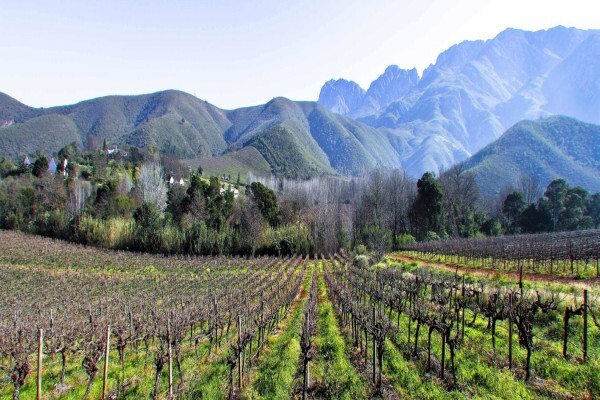 Montagu Vines Guesthouse