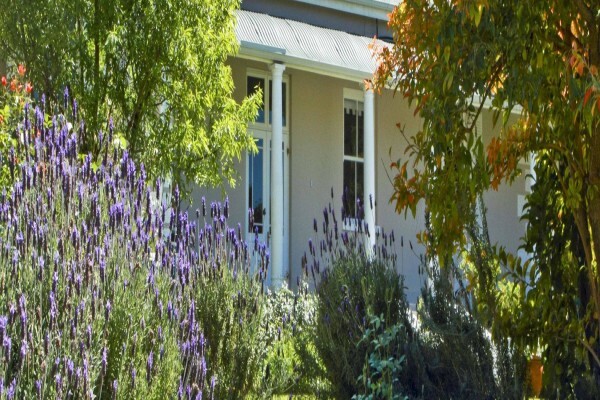 Montagu Vines Guesthouse
