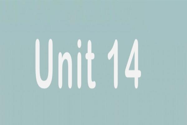 Surf Point-12