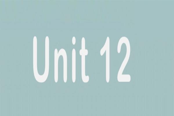 Surf Point-12
