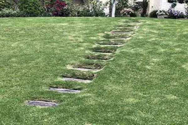 Cape Elegance In Bryanston