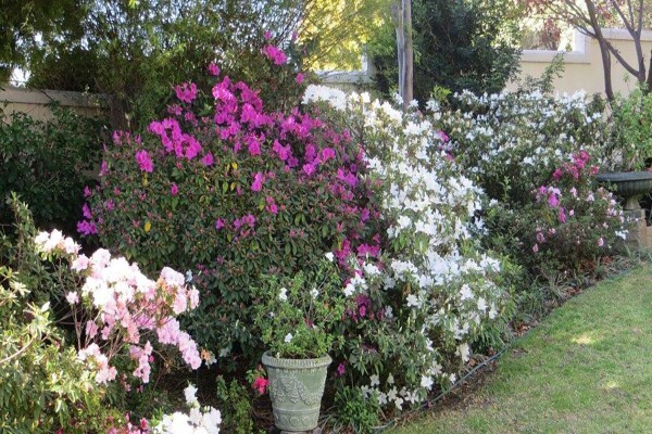 Cape Elegance In Bryanston