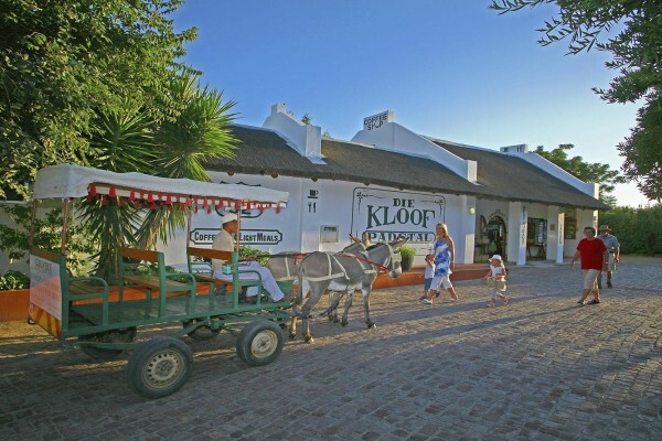 De Bos Guest Farm