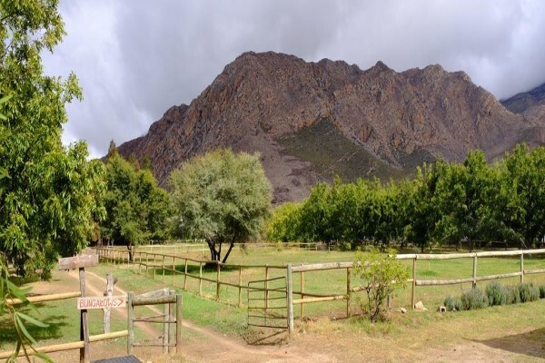 De Bos Guest Farm