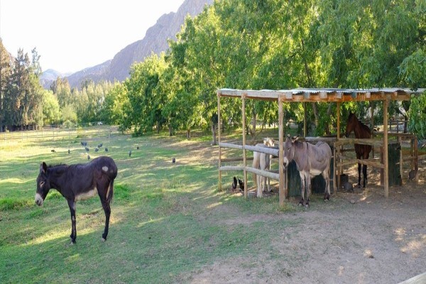 De Bos Guest Farm
