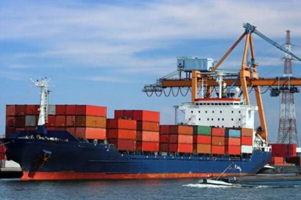 Nessi International Freight