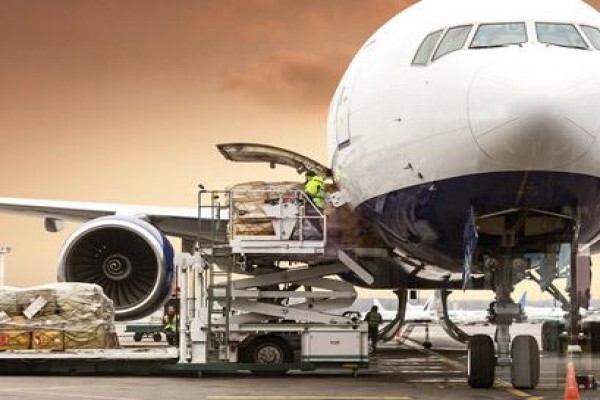 Nessi International Freight