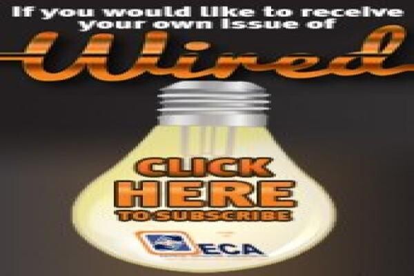 Electrical Contractors Assn Of SA