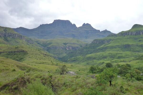 Birdlife South Africa