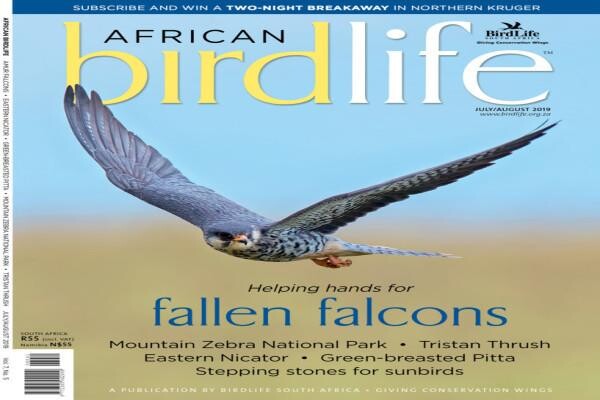 Birdlife South Africa