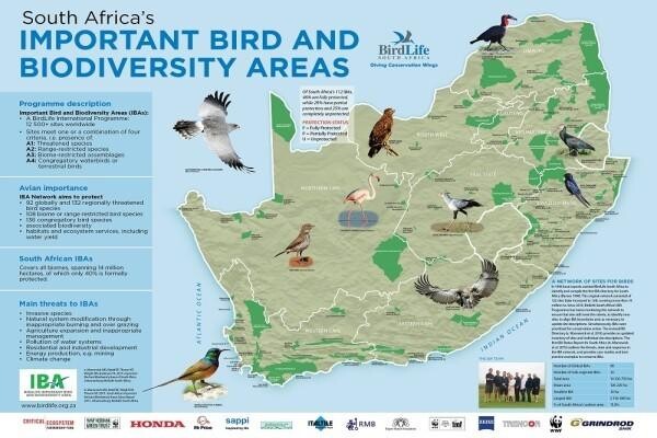 Birdlife South Africa