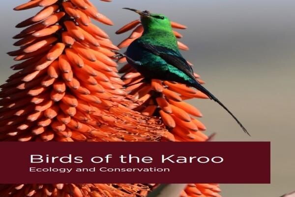 Birdlife South Africa
