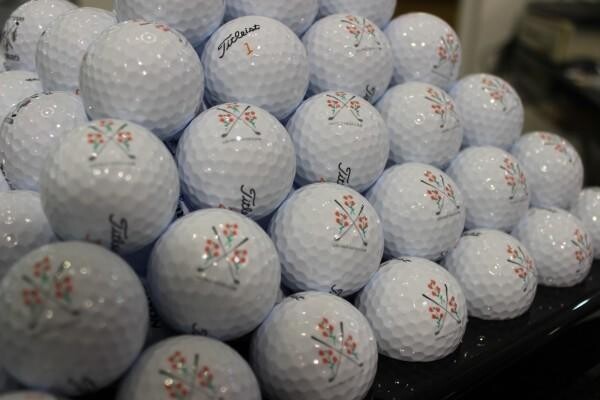 George Golf Club