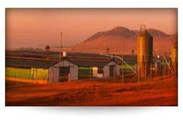 Earlybird Farm (Pty) Ltd