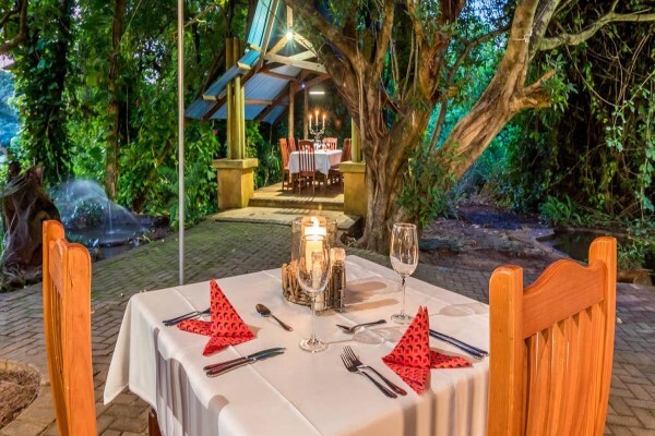 Gecko Lodge