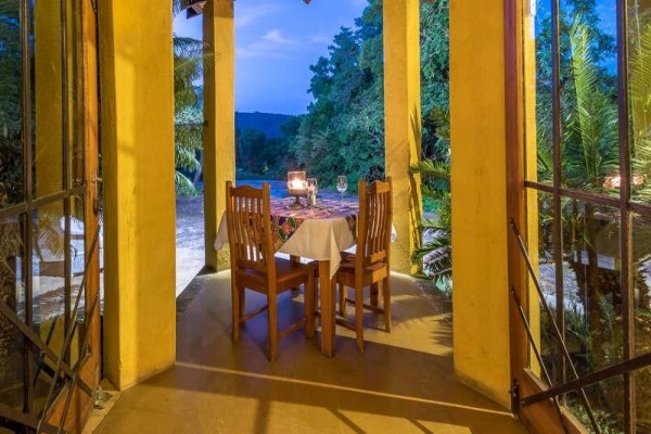 Gecko Lodge