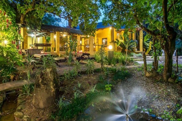Gecko Lodge