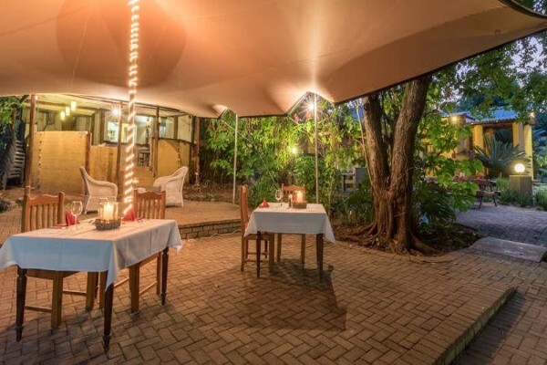 Gecko Lodge
