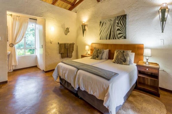 Gecko Lodge