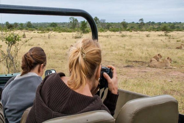 Gecko Lodge