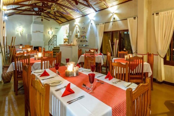 Gecko Lodge