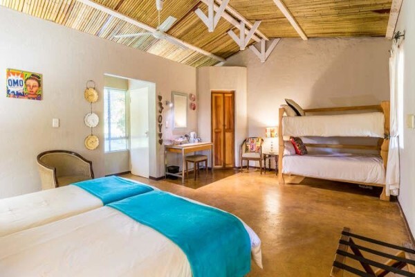 Gecko Lodge