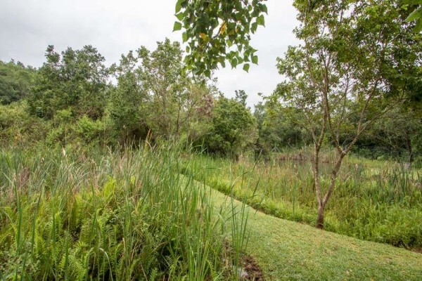 Gecko Lodge