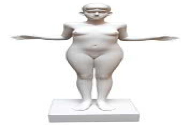 Cape Gallery The