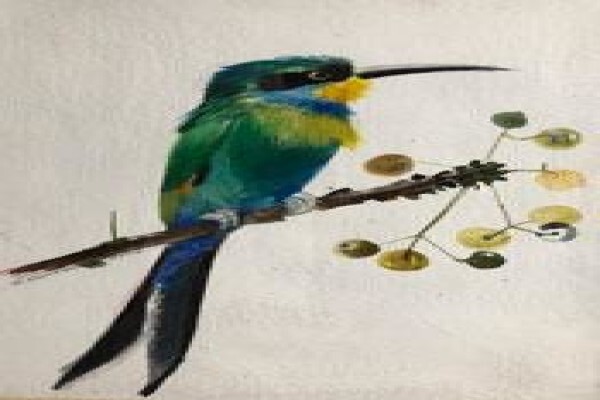 Cape Gallery The
