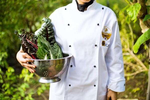 Institute Of Culinary Arts