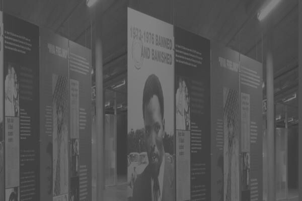 Steve Biko Foundation