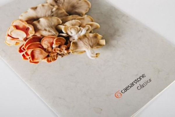 Create Design & Photography