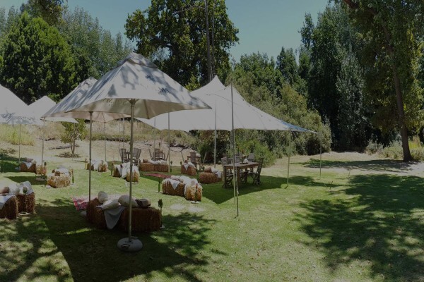 Solms-Delta Wine Farm