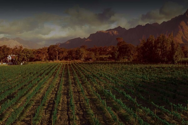 Solms-Delta Wine Farm