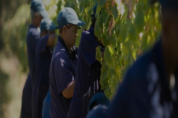 Solms-Delta Wine Farm