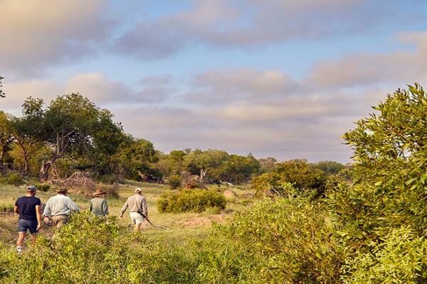 Motswari Private Game Reserve