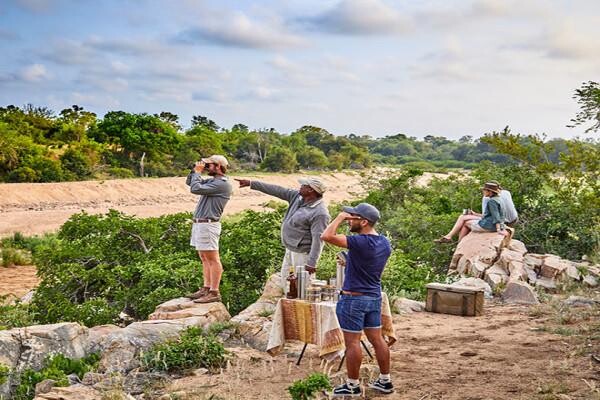 Motswari Private Game Reserve