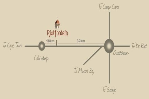 Rietfontein Ostrich Palace