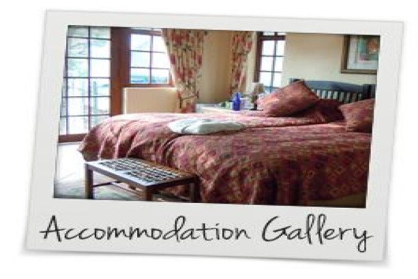 Abigails Bed & Breakfast